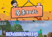 乐鱼体育登录-关于直接说了，猪哥这联名后面必涨价5亮21回复绝地求生的信息
