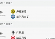 乐鱼体育app-沃尔夫斯堡实力强劲，保持欧战积分榜前列