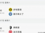 乐鱼体育app-沃尔夫斯堡实力强劲，保持欧战积分榜前列