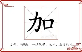 加福德新合同中含有5%的交易保证金，全额保障无任何选项