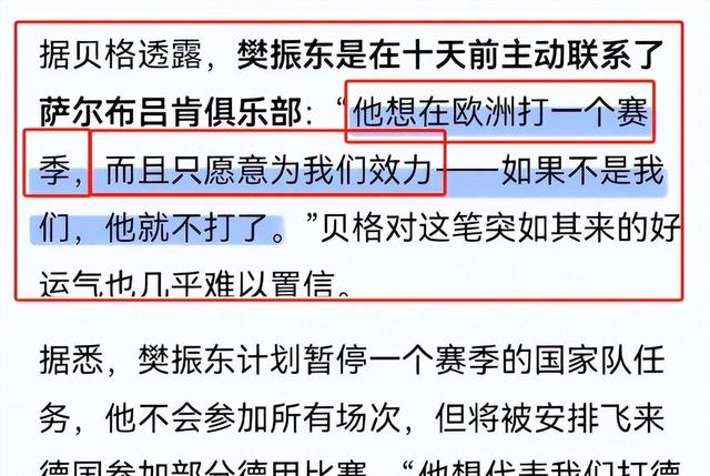 关于乒乓球运动员周恺辟谣加盟德乙联赛，已加盟埃及联赛的信息