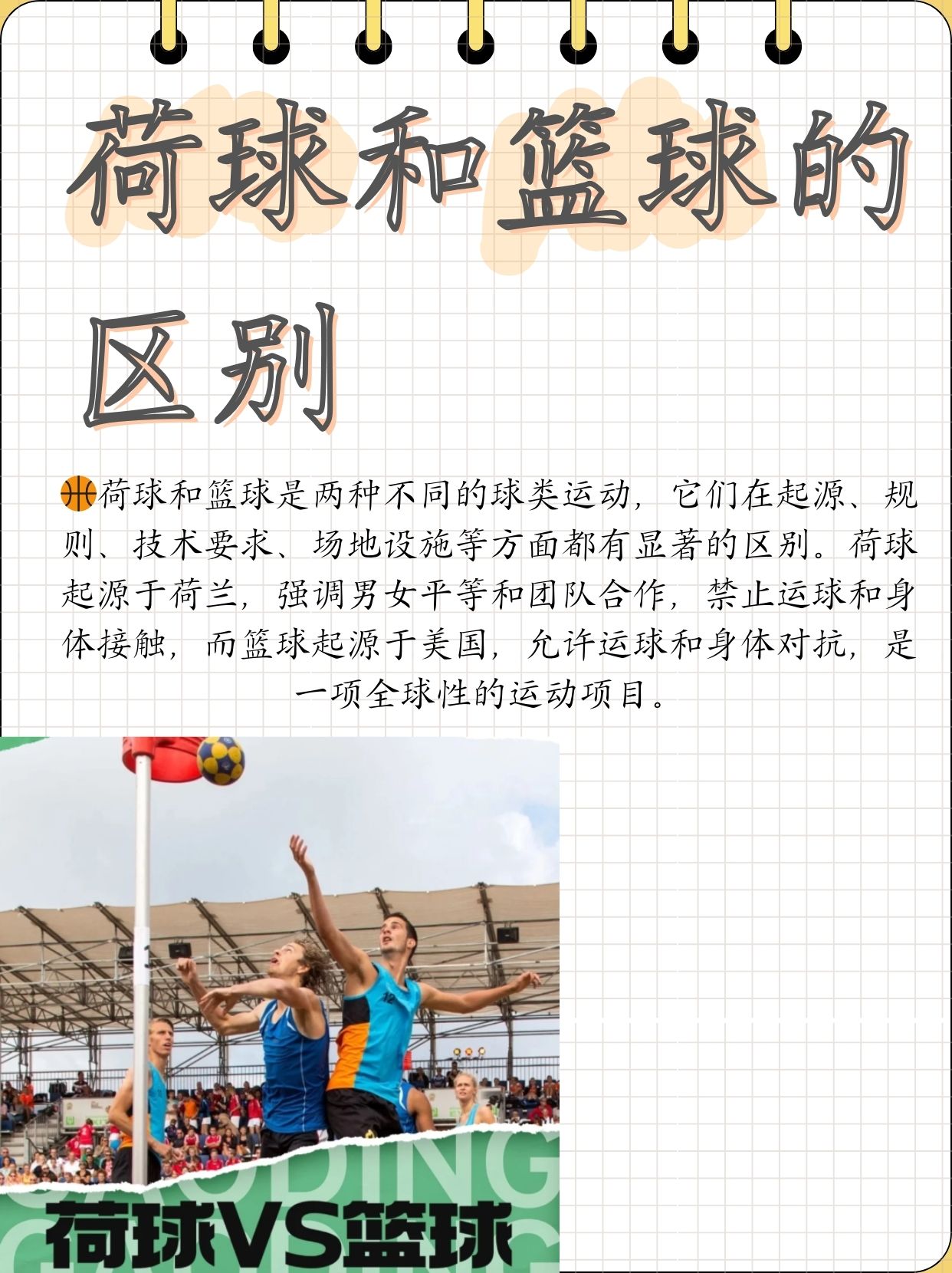 关于荷兰篮球联赛精彩纷呈，实力横跨各方的信息